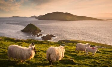 Irish Splendor