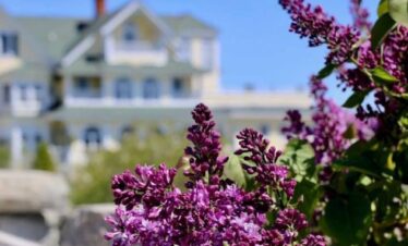 Mackinac Island Lilac Getaway