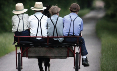 Amish Country Brown Bag Tour