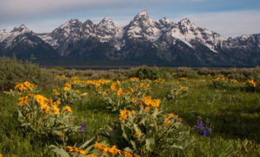 America’s Cowboy Country