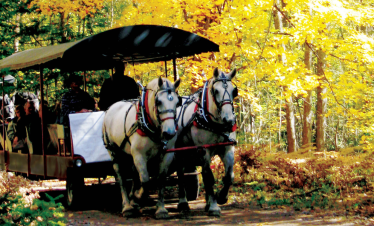 Fall Overnight Getaway