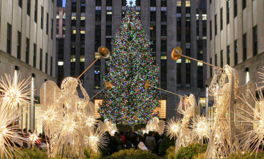 Spotlight on New York City Holiday