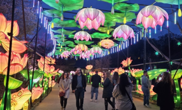 Grand Rapids Lantern Festival & Chihuly Exhibit