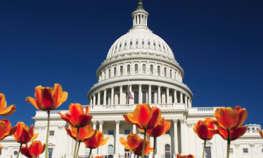 Our Nation’s Capital