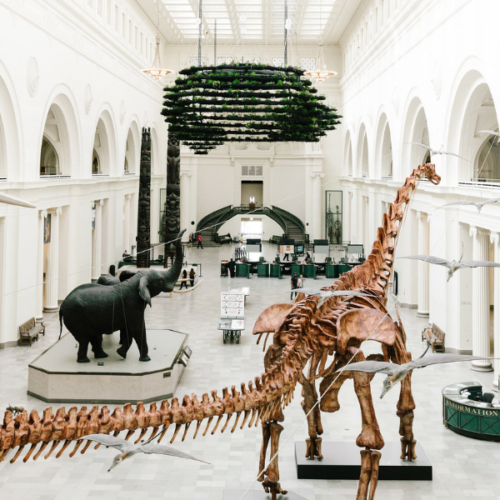 Chicago Museums Or Magnificent Mile