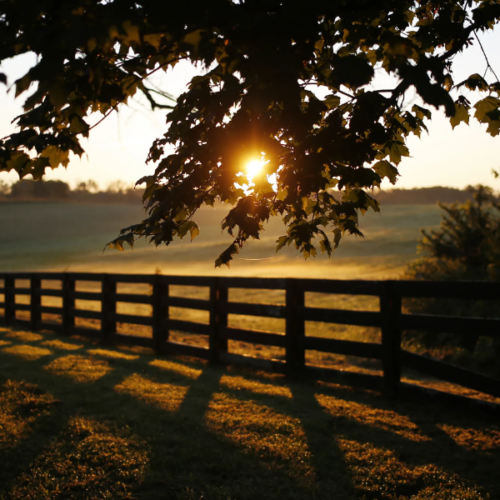 Escape To The Bluegrass State
